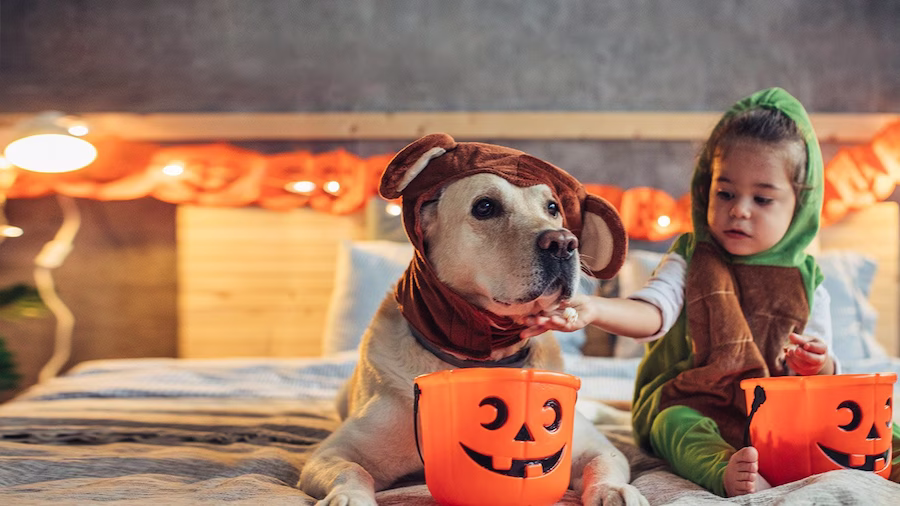holiday in october
