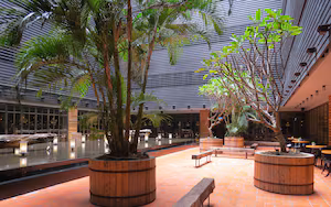 An indoor atrium with a high ceiling, large windows, and a central water feature. There are wooden planters with trees and benches around the water.