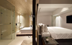 A modern hotel room with a glass-enclosed shower, a large bed, a bedside table with a plant, and a mounted TV.