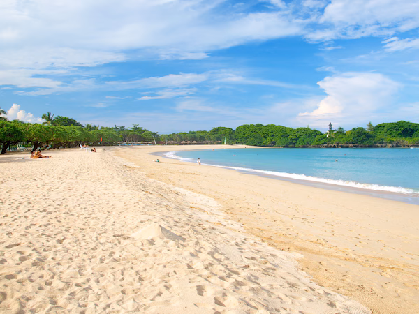 A sandy beach with palm trees and a clear blue sky.